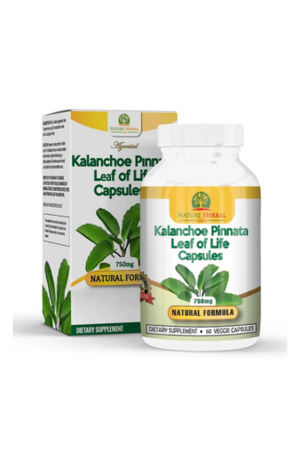 Nature Herbal Life Kalanchoe Pinnata-Leaf of Life (Bryophyllum Pinnatum)Lao Di Sheng Gen, Capsules. 1 Bottle-750mg, 60 Count